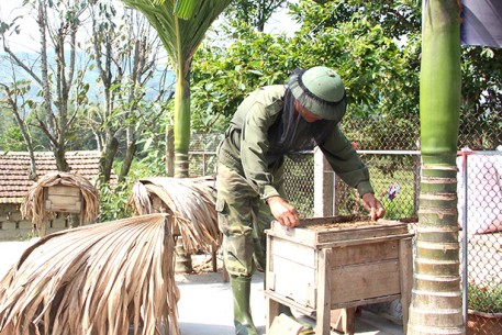 Giải pháp kỹ thuật bảo vệ đàn ong trong điều kiện nắng nóng kéo dàii
