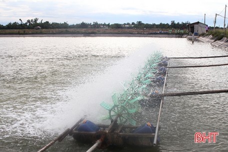 Phát triển nuôi trồng thủy sản tại các xã ven đô Thành phố Hà Tĩnh