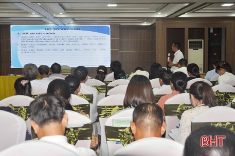 110 HTX, quỹ tín dụng Hà Tĩnh được “cầm tay chỉ việc” tiếp cận vốn đầu tư