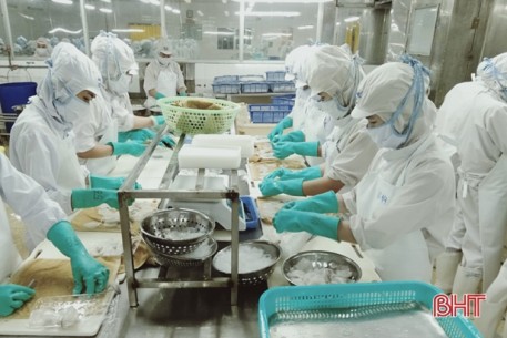 Doanh nghiệp xuất nhập khẩu thủy sản Hà Tĩnh đặt mục tiêu doanh thu 131 tỷ đồng