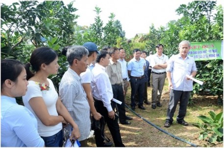 Khuyến nông Hà Tĩnh đẩy mạnh ứng dụng và chuyển giao tiến bộ khoa học- công nghệ vào sản xuất