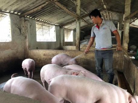 Người nông dân “dám nghĩ dám làm” để vươn lên làm giàu trên vùng đất khó