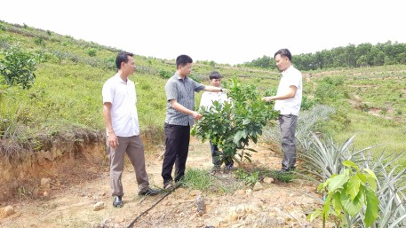 Thực trạng và giải pháp phát triển cây cam ở vùng đối núi của Hà Tĩnh