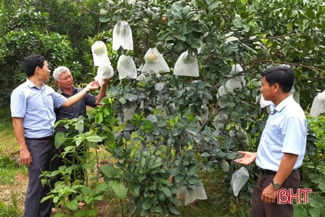 Những “kỹ sư chân đất” làm vườn mẫu ở huyện miền núi Hà Tĩn