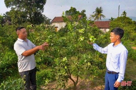 “Hạnh phúc khi được mang kiến thức về cống hiến cho quê hương”