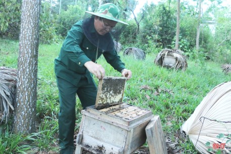 Người dân miền núi Hà Tĩnh phấn khởi vì mật ong được giá