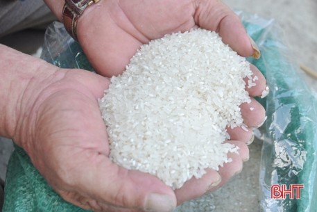 Về Đức Thọ thưởng thức gạo ruộng rươi La Giang