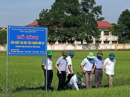 Nông dân&doanh nghiệp: Hai nhà liên kết sản xuất nông nghiệp hữu cơ ở Hà Tĩnh