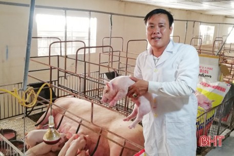 Giám đốc HTX ở Hà Tĩnh đi nước ngoài học cách nuôi lợn công nghệ cao, doanh thu hàng chục tỷ đồng mỗi năm