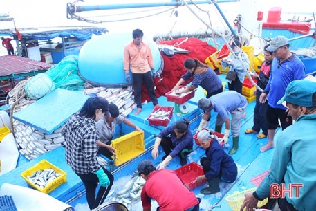 Thời tiết thuận lợi, ngư dân Hà Tĩnh vươn khơi đón “lộc biển”