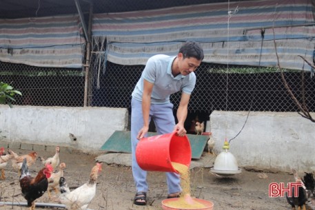 Tốt nghiệp trung cấp thú y về quê lập nghiệp, 8X Hà Tĩnh thu tiền tỷ từ trại gà thương phẩm