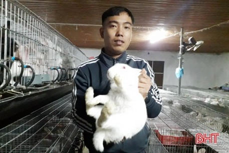 Chàng trai miền núi Hà Tĩnh kiếm hàng trăm triệu đồng từ chăn nuôi gia trại