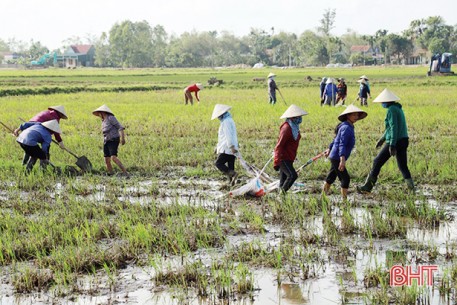 Hành động thiết thực, sớm đưa nghị quyết đại hội Đảng vào cuộc sống