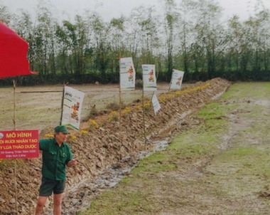 Ninh Bình: Triển vọng từ mô hình rươi - lúa