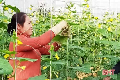 Lộc Hà ban hành chính sách hỗ trợ gần 73 tỷ đồng phát triển nông nghiệp, nông thôn