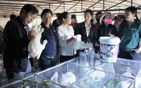 Kết quả mô hình nuôi thỏ thương phẩm an toàn sinh học gắn với tiêu thụ sản phẩm năm 2020