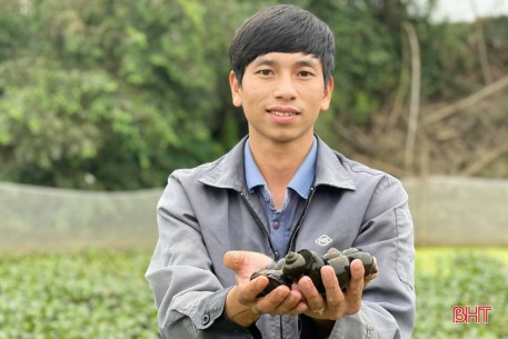Chàng thanh niên Hà Tĩnh thôi lao động ở nước ngoài về quê nuôi ốc nhồi
