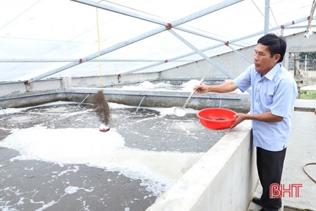 Chuyện xây nhà nuôi tôm ở huyện biển Hà Tĩnh