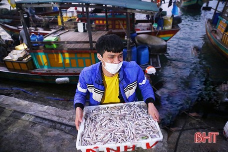 Ngư dân Hà Tĩnh khai thác gần 9.300 tấn hải sản nhờ thời tiết thuận lợi