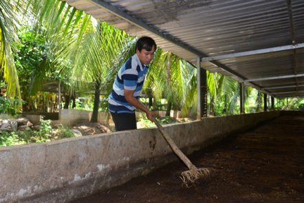 Nuôi trùn quế lãi “khủng”