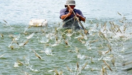 Tăng cường quản lý sản xuất thủy sản trong thời điểm giao mùa, thời tiết diễn biến phức tạp.