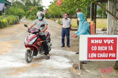 Dịch tả lợn châu Phi tái xuất hiện, Nghi Xuân gấp rút phòng chống