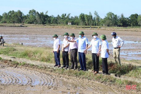 Tiếp đà thắng lợi vụ lúa xuân, chủ động sản xuất tốt vụ hè thu ở Hà Tĩnh