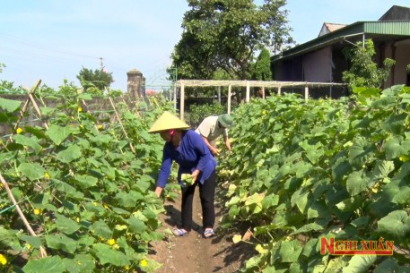 Lan tỏa mô hình "Nhà sạch vườn đẹp" trong xây dựng Nông thôn mới ở Xuân Yên
