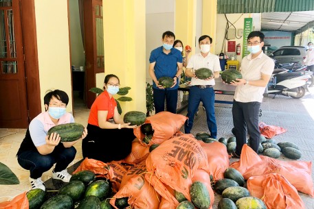 Cán bộ công chức Văn phòng Điều phối nông thôn mới tỉnh Hà Tĩnh tiêu thụ 1000kg dưa của người dân thôn Việt Yên cách ly chống dịch Covid-19