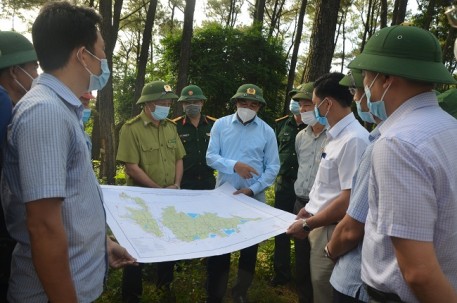 Chủ tịch UBND tỉnh đi kiểm tra, chỉ đạo công tác phòng cháy, chữa cháy rừng tại một số địa phương trong tỉnh