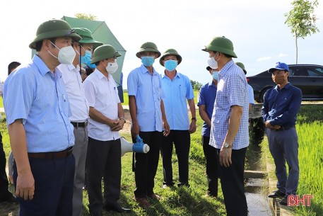 Đổi mới tư duy, đưa kinh tế tập thể Can Lộc phát triển có chiều sâu