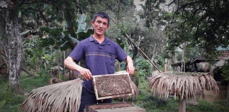 Nuôi ong dựa vào hệ sinh thái vườn đồi và rừng tự nhiên hướng đến “vị ngọt” tương lai