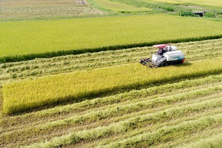 Hà Tĩnh nâng cao hiệu quả đầu tư nguồn lực phát triển nông nghiệp giai đoạn 2026–2030