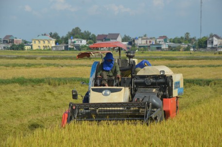 Hà Tĩnh với những giải pháp hỗ trợ nông dân thu hoạch lúa Hè thu