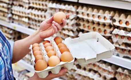 Giá trứng gia cầm: Bật tăng giữa đại dịch