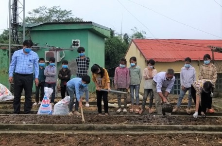 Lào Cai: Mô hình sản xuất rau an toàn trong trường học