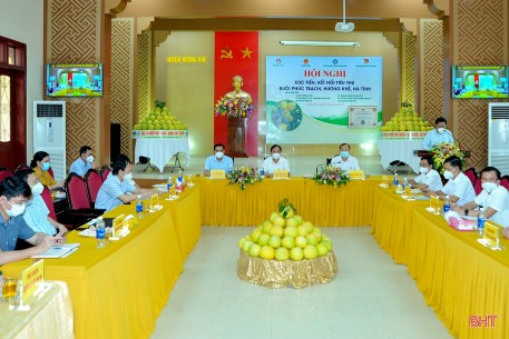 Bưởi Phúc Trạch lên sàn thương mại điện tử- thêm kênh tiêu thụ bền vững