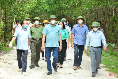 Chủ tịch UBND tỉnh: Chủ động ứng phó với thiên tai, đảm bảo quy hoạch và môi trường trong chăn nuôi