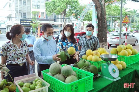 Tuần lễ kết nối tiêu thụ nông sản tại Hà Tĩnh phấn đấu tiêu thụ gần 200 tấn sản phẩm