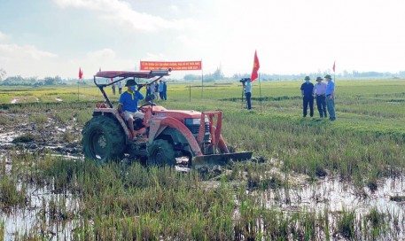 Xã Cẩm Hưng, huyện Cẩm Xuyên thực hiện phá bỏ bờ thửa nhỏ thành cánh đồng lớn.