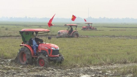 Thị trấn Cẩm Xuyên tiếp tục mở rộng diện tích phá bỏ bờ thửa nhỏ hình thành cánh đồng lớn