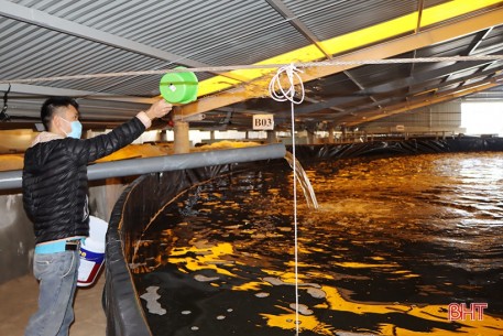 “Mục sở thị” mô hình nuôi tôm bằng công nghệ lọc tuần hoàn ở Hà Tĩnh