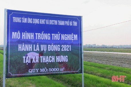 Các mô hình thử nghiệm sản xuất nông nghiệp tại TP Hà Tĩnh cho kết quả khả quan