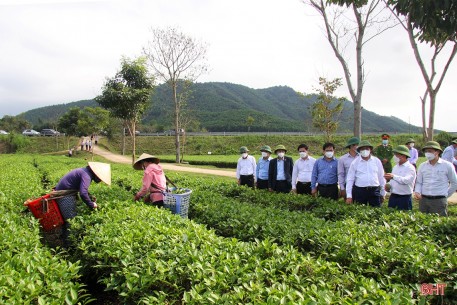 Phát huy tiềm năng, lợi thế sản phẩm chủ lực để nâng cao giá trị nông nghiệp ở Hương Sơn