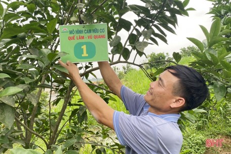 Người dân miền núi Vũ Quang nhân rộng mô hình nông nghiệp hữu cơ