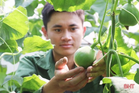 Thăm mô hình nhà màng trồng dưa quy mô gần 2 tỷ đồng của nông dân Thạch Lạc
