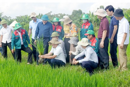 Trung tâm khuyến nông Quốc gia kiểm tra, đánh giá các mô hình triển khai tại Hà Tĩnh