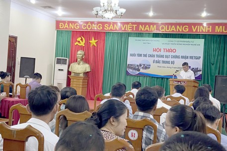 Hội thảo nuôi tôm thẻ chân trắng đạt chứng nhận VietGAP ở Bắc Trung Bộ