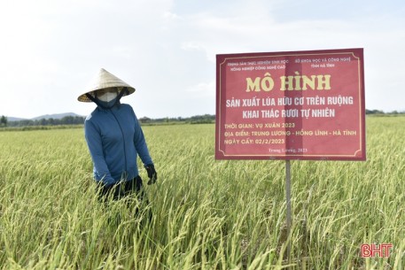 Hội nghị đánh giá kết quả sản xuất nông nghiệp hữu cơ tại Hà Tĩnh
