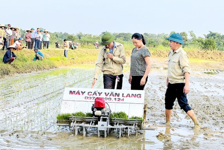 Hương Sơn đưa thử nghiệm máy cấy trên cánh đồng lớn